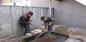 圖 津南區(qū)雙港新家園,金地格林專通下水道,安裝馬桶地漏 天津管道維修